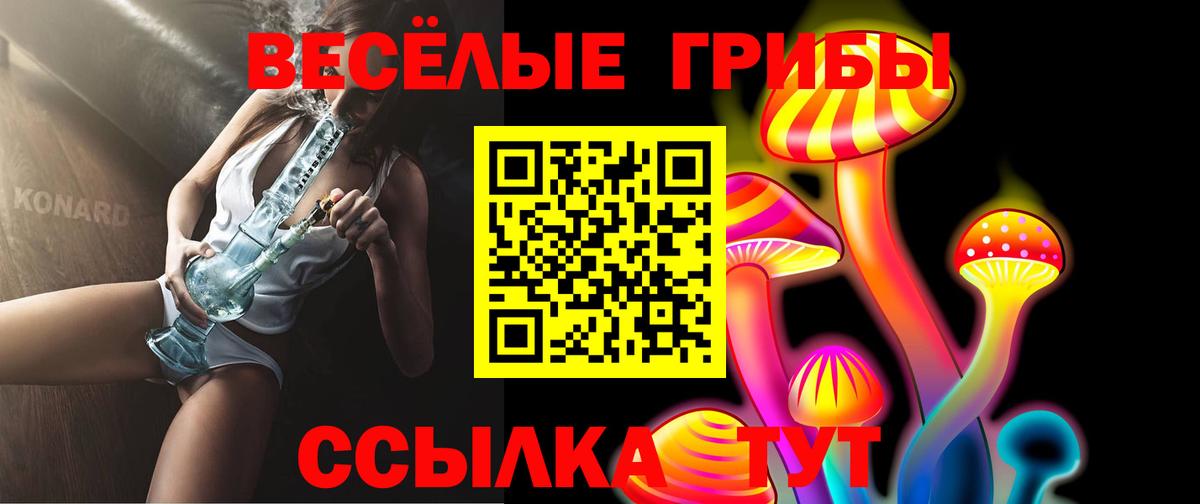 Галлюциногенные грибы GOLDEN TEACHER Котлас